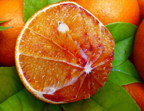 血橙营养丰富，汁多美味
